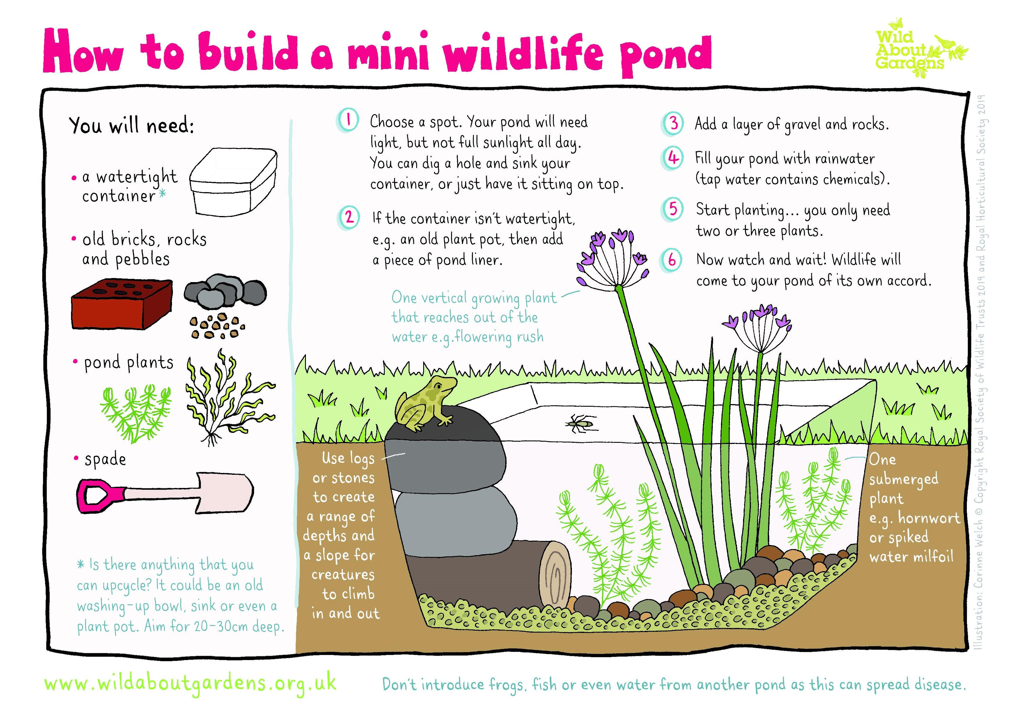 How To Create A Mini Pond The Wildlife Trusts   Page 5 MINI WILDLIFE POND 2019 